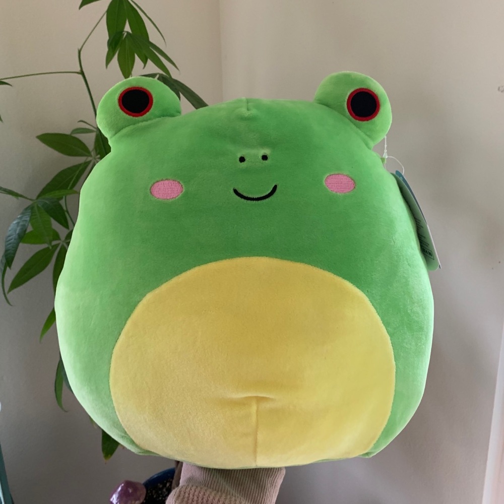 Wendy the Frog Squishmallow 12”